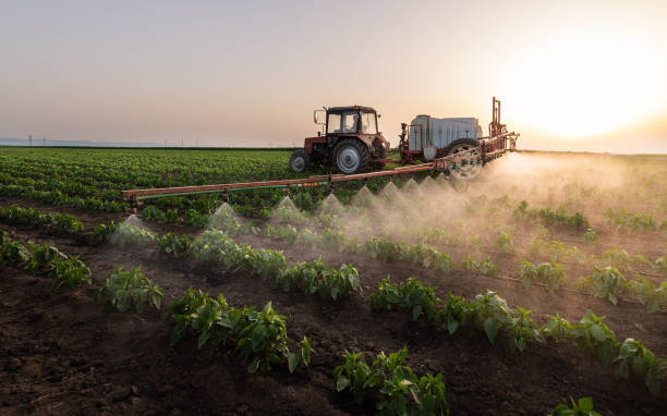 Reliable Port Isabel, TX Pest Control Solutions