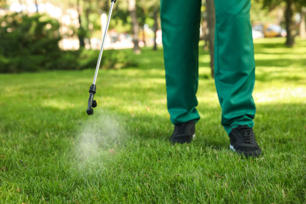 Insect Control in Port Isabel, TX