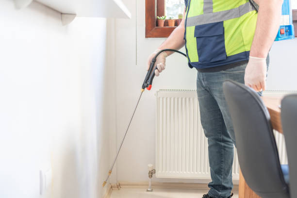 Best Termite Control Services  in Port Isabel, TX