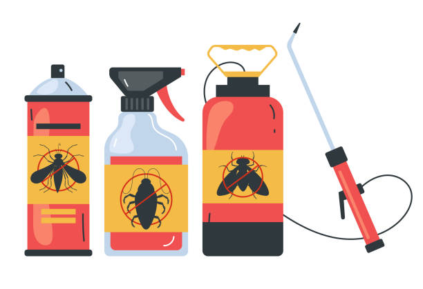 Best Bed Bug Extermination  in Port Isabel, TX