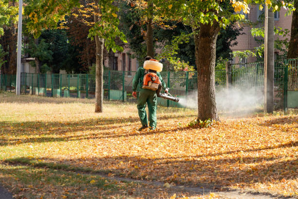 Pest Control for Restaurants in Port Isabel, TX